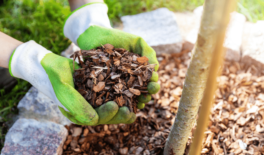 EliteMasters Landscaping